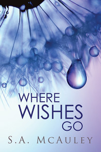 WhereWishesGo4